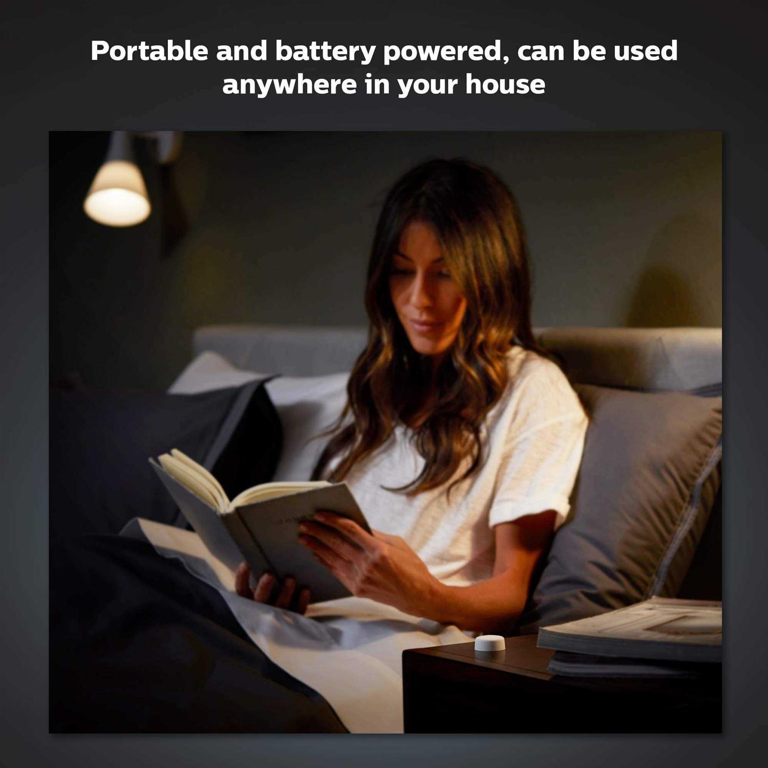 Philips Hue Outdoor Low Voltage Cable Extension - Inhomebuy