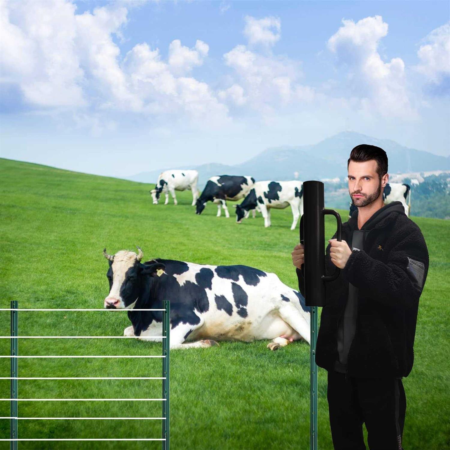 Gtongoko Fence Post Anchor Ground Spike Powder Coated 4 x 4 Inches Outer Diameter - Inhomebuy