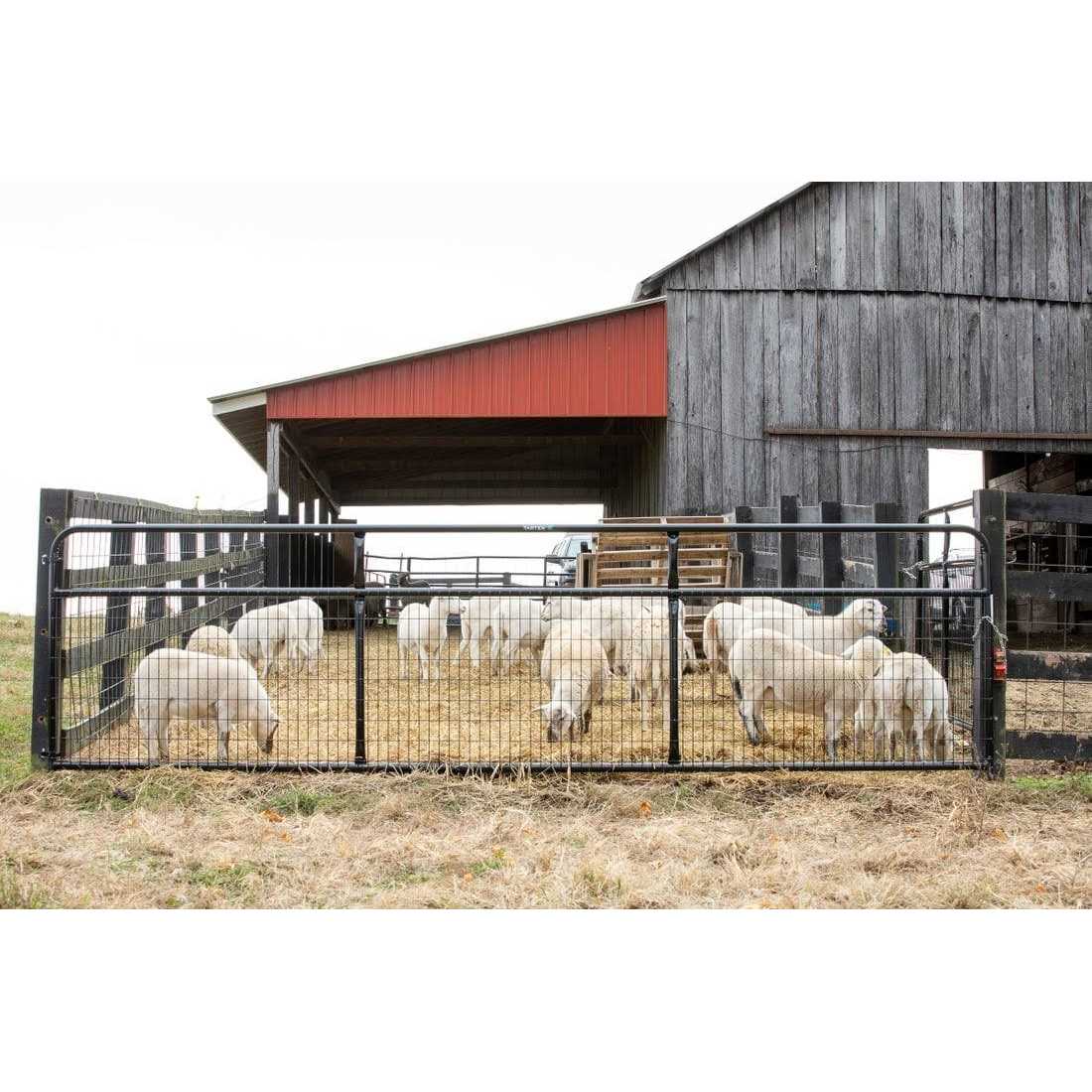 Tarter 2 x 4 in. Wire-Filled Gate WFGBL - Inhomebuy